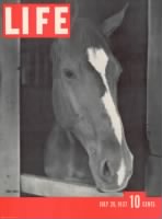 life-animal-covers-04-762x1024.jpg