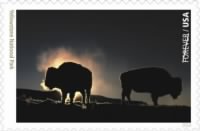 Thumbnail for Yellowstone National Park.jpg