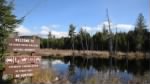 Thumbnail for Katahdin Woods and Waters.jpg