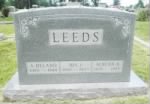 Thumbnail for Archie Delano Leeds tombstone.jpg