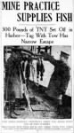 Thumbnail for 27 Oct 1920, Page 11 - Boston Post_ShanksD_etc.jpg