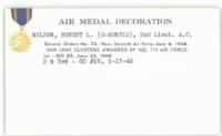 Thumbnail for Air Medal Nelson 0-806312.jpg