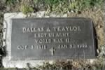 Thumbnail for Dallas A Traylor Ground Plate.jpg