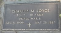 Thumbnail for Charles Michael Joyce.jpg