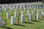 Thumbnail for Alexandria National Cemetery