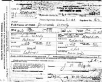 Thumbnail for James Arthur Woody, Birth Certificate