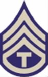 tec3-insignia