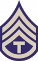 tec3-insignia