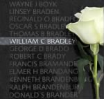 Thumbnail for william-c-bradley-wall-rose