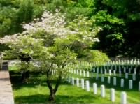 Thumbnail for Staunton National Cemetery, Virginia