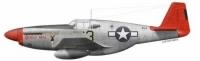 Robinson Rob 100th P-51
