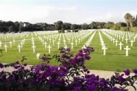 Thumbnail for North Africa Cemetery and Memorial