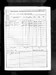 Thumbnail for 1890 Veterans Schedules of the U.S. Federal Census for Albert Skrabal.jpg