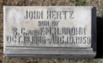 Thumbnail for Brown John Hertz tombstone