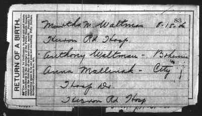 Thumbnail for 1906 > Waltman, Anthony & Anna