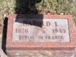 Thumbnail for Harold Lloyd Andrews headstone2.jpeg