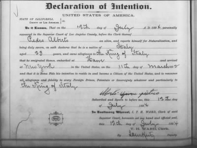 Alberts, Pedro > Declaration of Intention (1894)