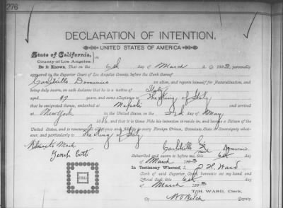 Dominico, Carlitiello > Declaration of Intention (1893)