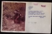 US, Photos - Vietnam War Marine Corps - (Color), 1962-1975 record example