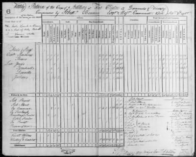 Returns of Brigades, Divisions, Armies, etc. ([Blank]) > 7