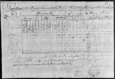 Returns of Brigades, Divisions, Armies, etc. ([Blank]) > 7