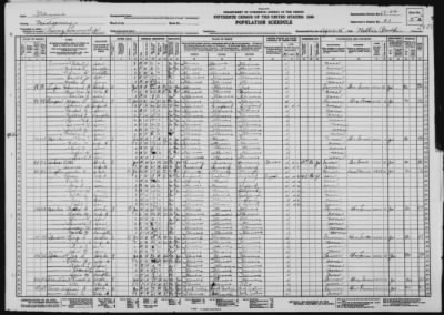 IRVING TWP. EXCLUDING IRVING VILLAGE > 68-24