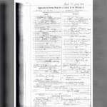 William G. Wiley marriage license.jpg