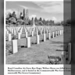 Americans at War in Foreign Forces A History, 1914-1945 - Chris Dickon_p203_HavenRW.jpg