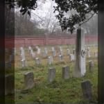 Chalmette Natl Cemetery.jpg