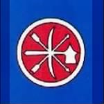 Choctaw-Chickasaw Mounted Rifles Flag.jpg