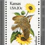 Kansas Meadowlark.gif