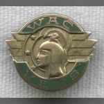 Women's Army Corps Vets Pin.jpg