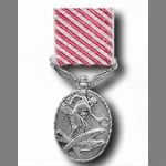 Air Force Medal (AFM)